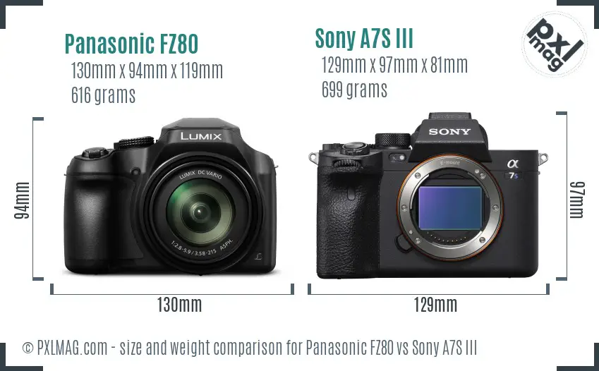 Panasonic FZ80 Vs Sony A7S III Detailed Comparison PXLMAG