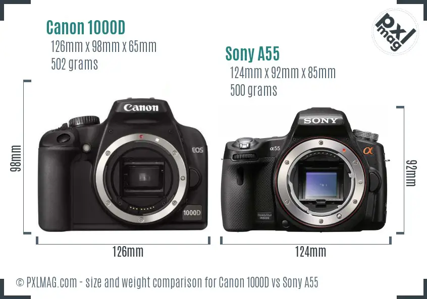 Canon 1000D vs Sony A55 size comparison
