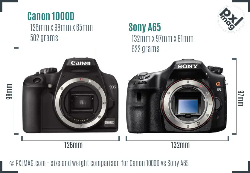 Canon 1000D vs Sony A65 size comparison