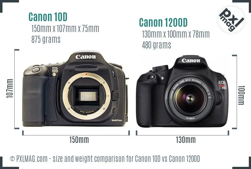 Canon 10D vs Canon 1200D size comparison