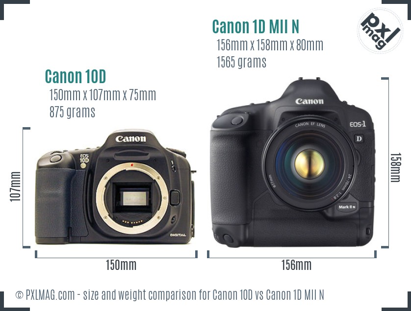 Canon 10D vs Canon 1D MII N size comparison