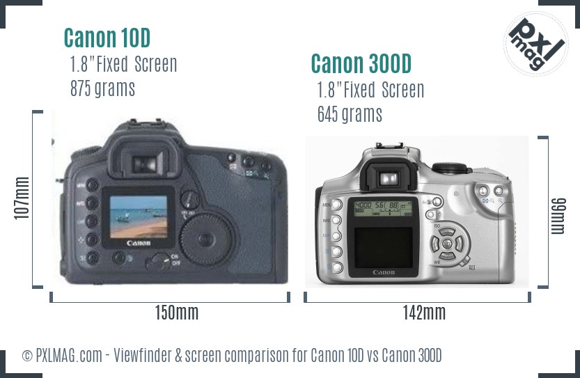 Canon 10D vs Canon 300D Screen and Viewfinder comparison