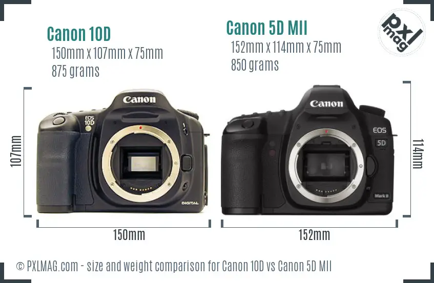 Canon 10D vs Canon 5D MII size comparison