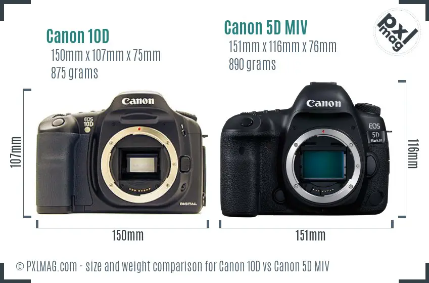 Canon 10D vs Canon 5D MIV size comparison