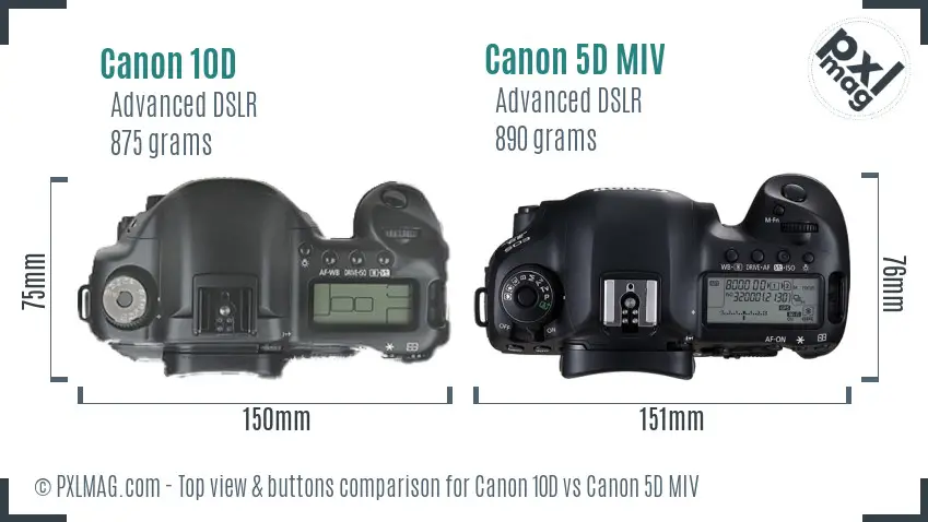 Canon 10D vs Canon 5D MIV top view buttons comparison