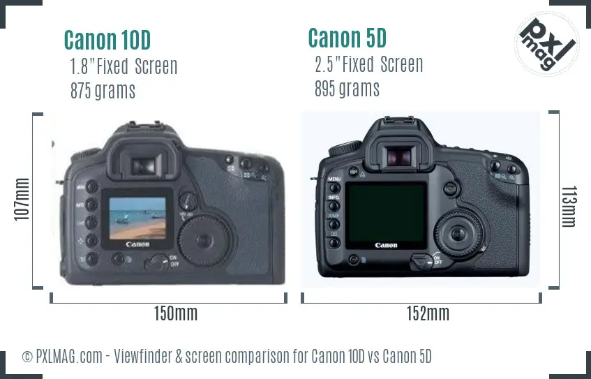 Canon 10D vs Canon 5D Screen and Viewfinder comparison