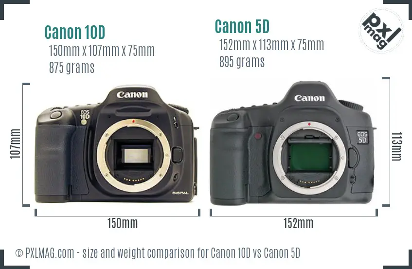 Canon 10D vs Canon 5D size comparison