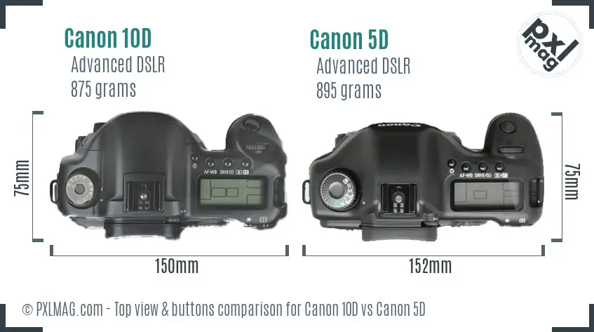 Canon 10D vs Canon 5D top view buttons comparison