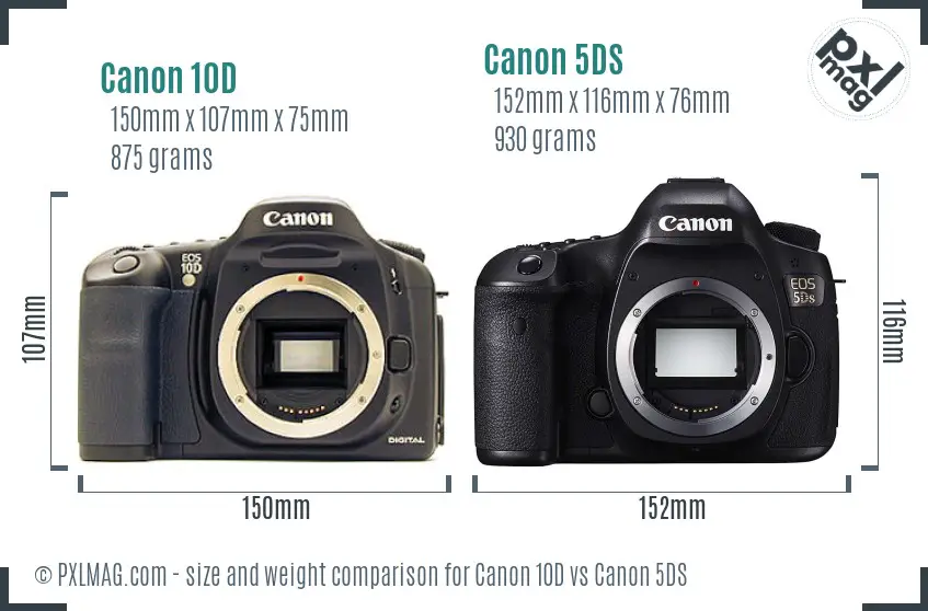 Canon 10D vs Canon 5DS size comparison