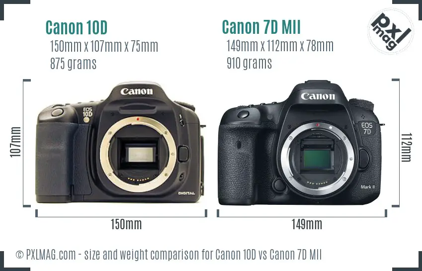 Canon 10D vs Canon 7D MII size comparison