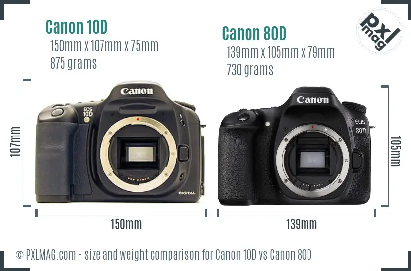 Canon 10D vs Canon 80D size comparison