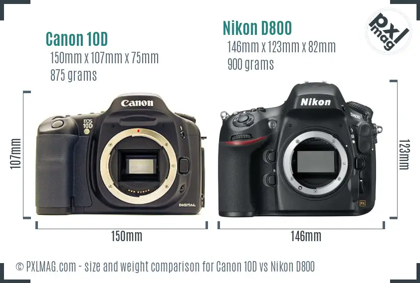 Canon 10D vs Nikon D800 size comparison