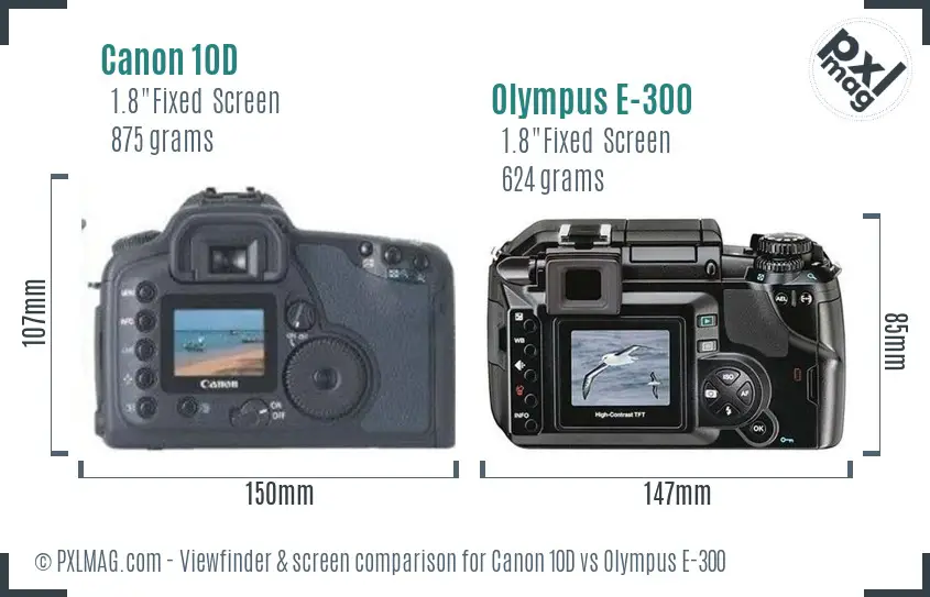 Canon 10D vs Olympus E-300 Screen and Viewfinder comparison