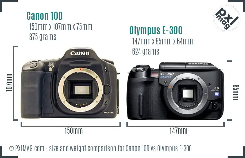 Canon 10D vs Olympus E-300 size comparison