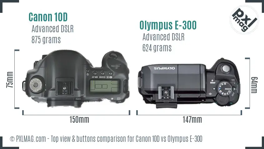 Canon 10D vs Olympus E-300 top view buttons comparison
