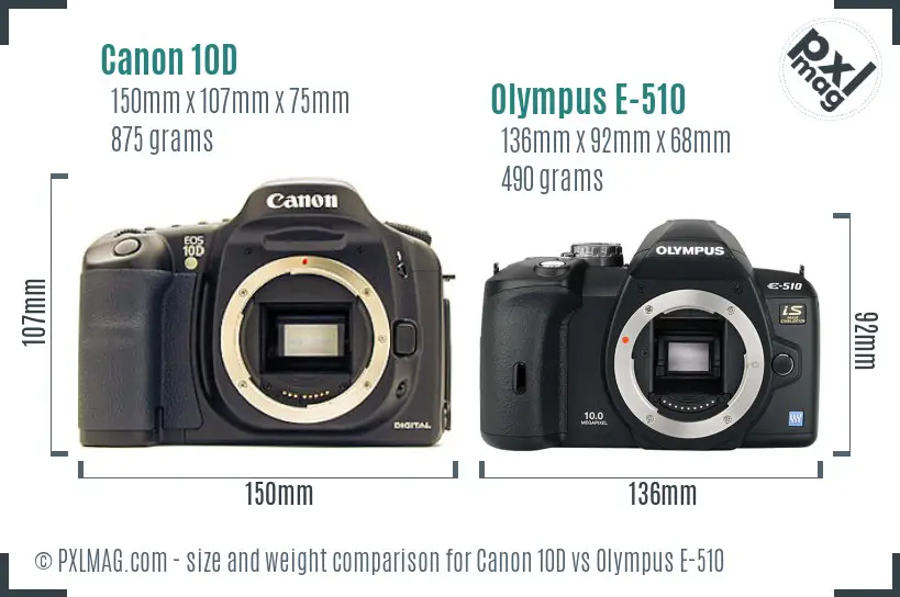 Canon 10D vs Olympus E-510 size comparison