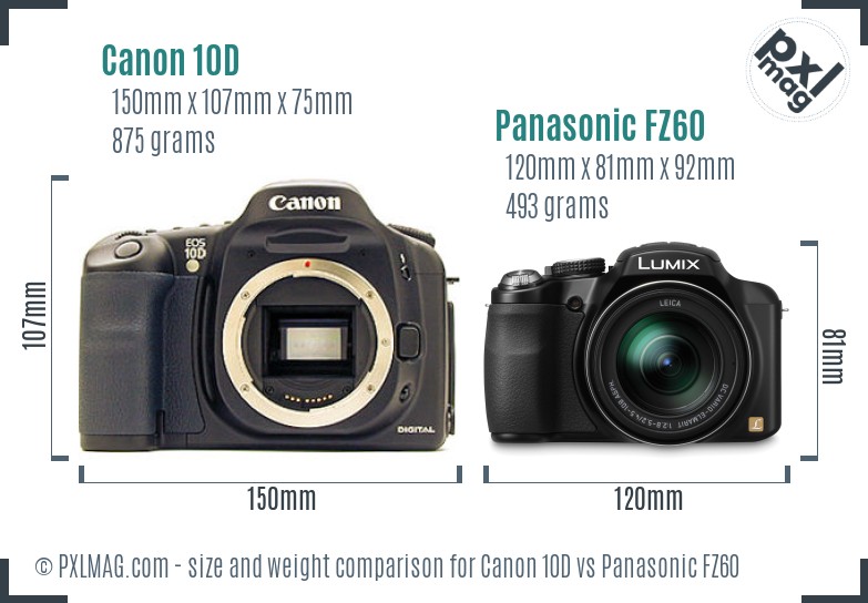 Canon 10D vs Panasonic FZ60 size comparison Canon 10D vs Panasonic FZ60 size comparison