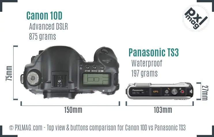 Canon 10D vs Panasonic TS3 top view buttons comparison