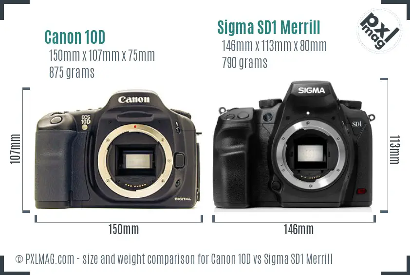 Canon 10D vs Sigma SD1 Merrill size comparison