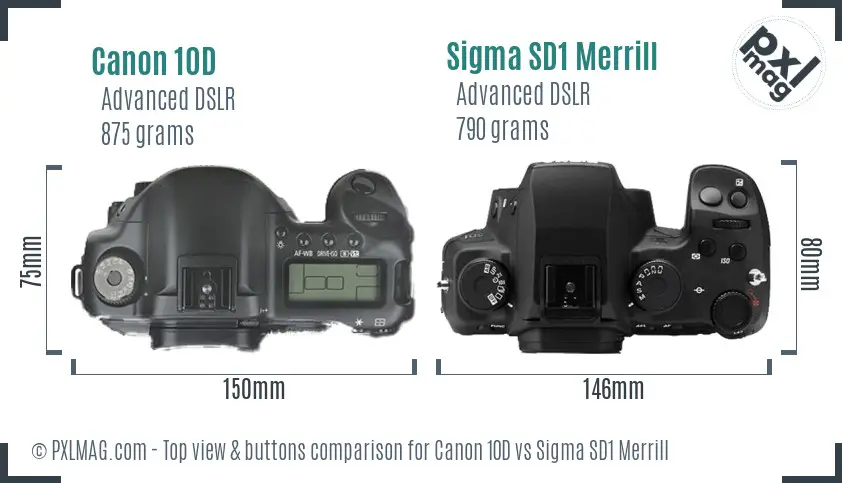 Canon 10D vs Sigma SD1 Merrill top view buttons comparison