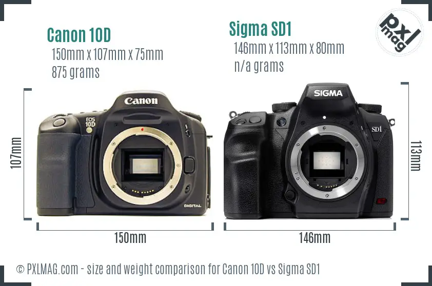 Canon 10D vs Sigma SD1 size comparison