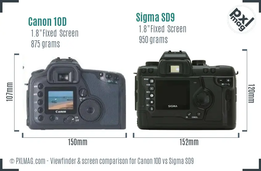 Canon 10D vs Sigma SD9 Screen and Viewfinder comparison