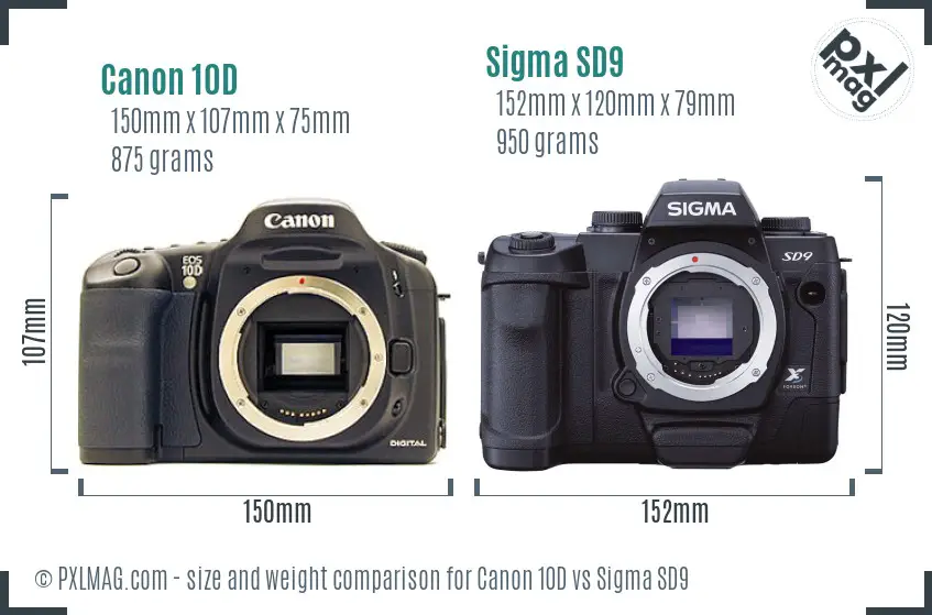Canon 10D vs Sigma SD9 size comparison
