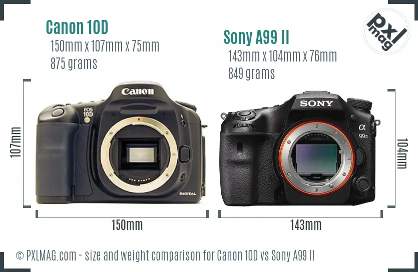 Canon 10D vs Sony A99 II size comparison