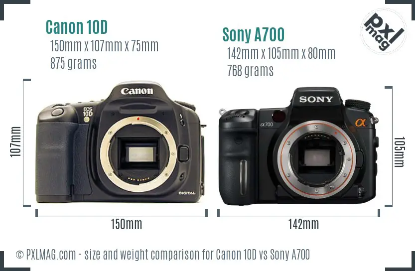 Canon 10D vs Sony A700 size comparison