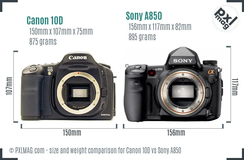 Canon 10D vs Sony A850 size comparison