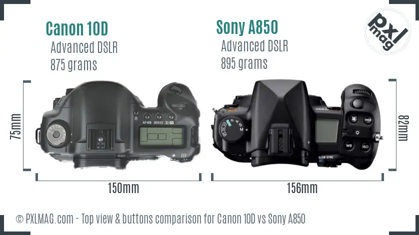 Canon 10D vs Sony A850 top view buttons comparison