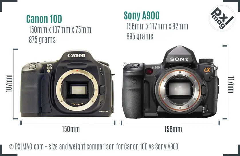 Canon 10D vs Sony A900 size comparison