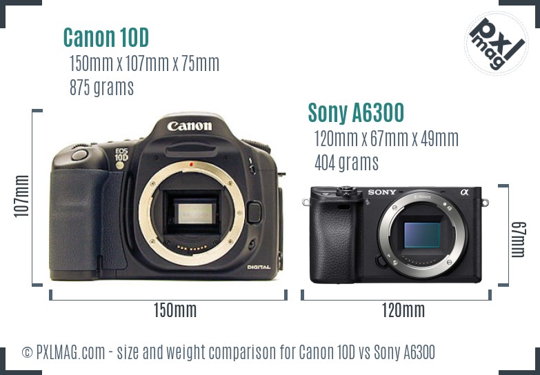 Canon 10D vs Sony A6300 size comparison