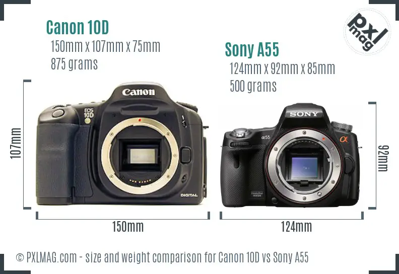 Canon 10D vs Sony A55 size comparison