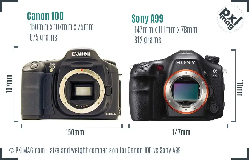 Canon 10D vs Sony A99 size comparison