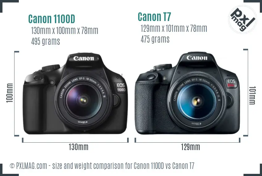 Canon 1100D vs Canon T7 size comparison