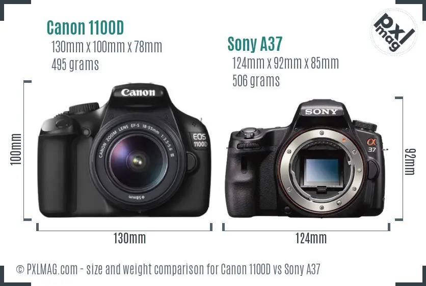 Canon 1100D vs Sony A37 size comparison