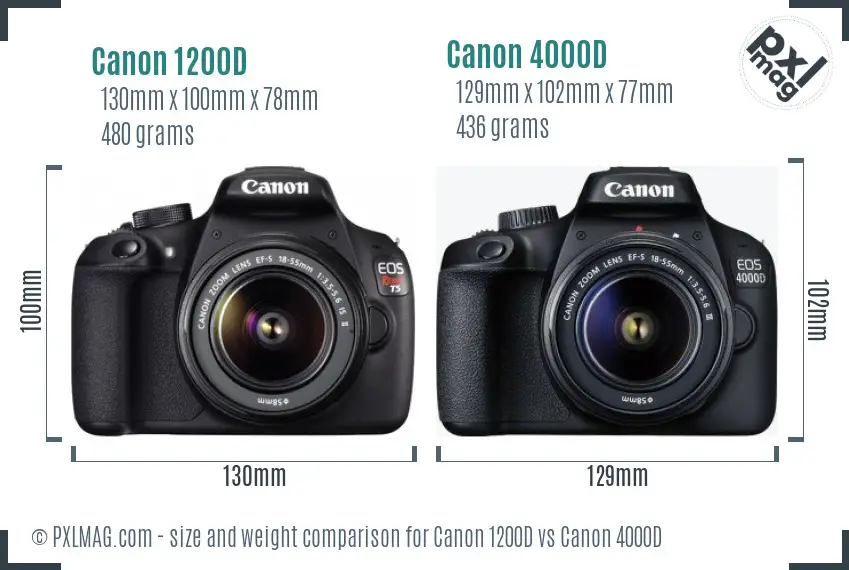 Canon 1200D vs Canon 4000D size comparison