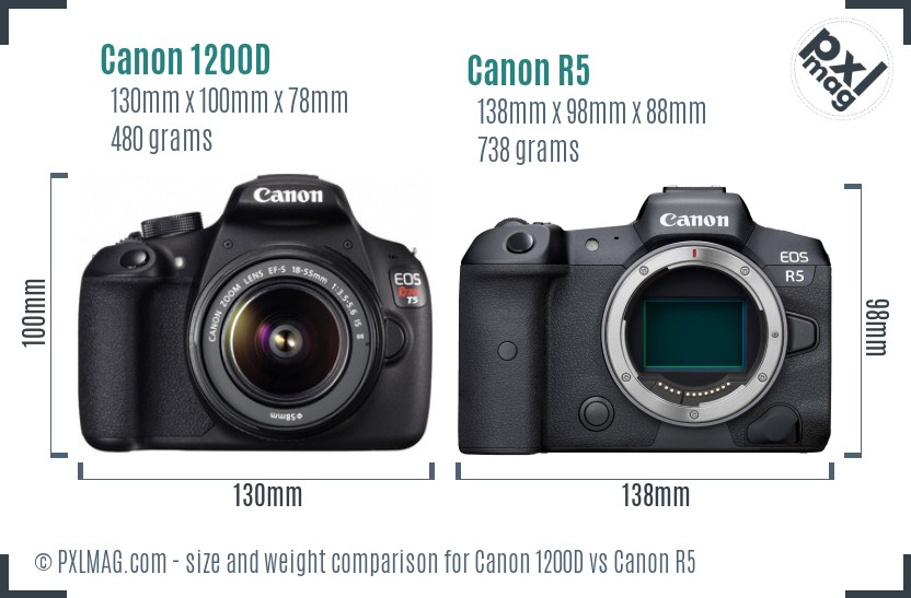 Canon 1200D vs Canon R5 size comparison Canon 1200D vs Canon R5 size comparison