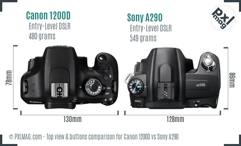 Canon 1200D vs Sony A290 top view buttons comparison