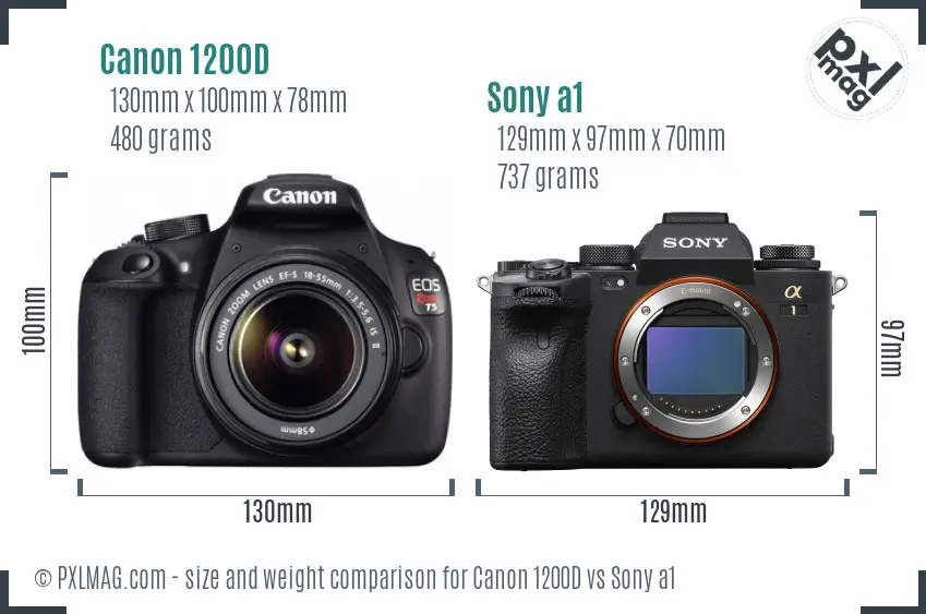 Canon 1200D vs Sony a1 size comparison Canon 1200D vs Sony a1 size comparison