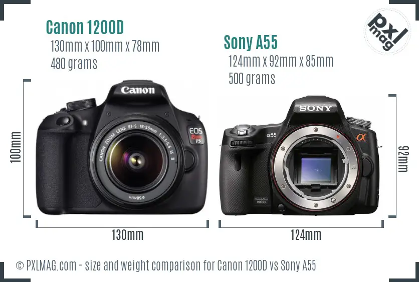 Canon 1200D vs Sony A55 size comparison