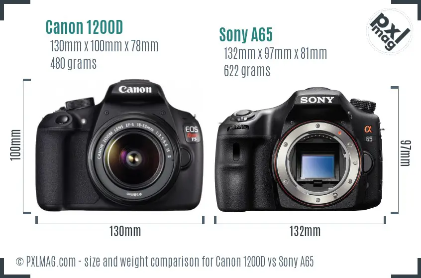 Canon 1200D vs Sony A65 size comparison