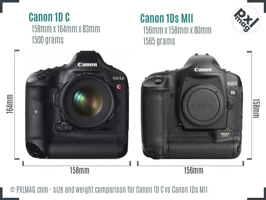 Canon 1D C vs Canon 1Ds MII size comparison