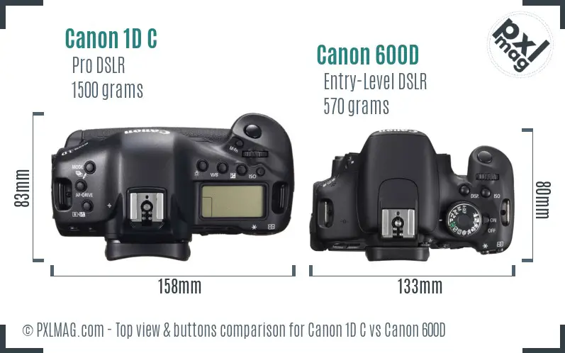 Canon 1D C vs Canon 600D top view buttons comparison