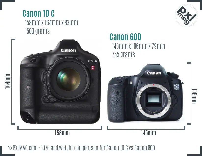 Canon 1D C vs Canon 60D size comparison