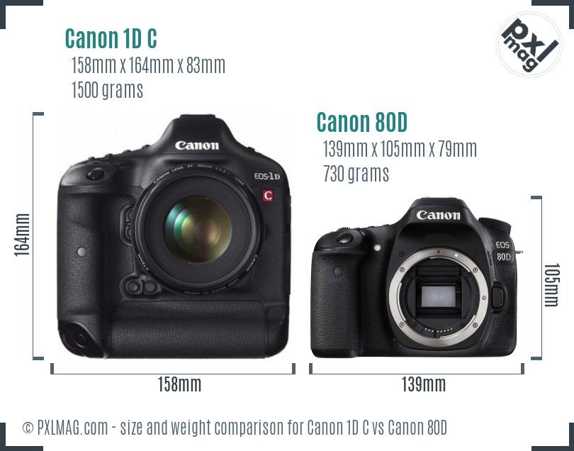 Canon 1D C vs Canon 80D size comparison Canon 1D C vs Canon 80D size comparison