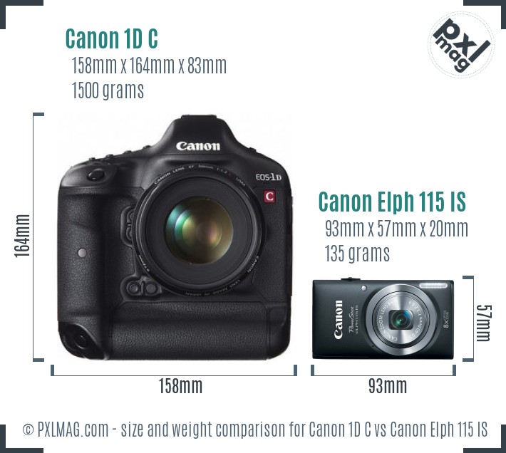 Canon 1D C vs Canon Elph 115 IS size comparison