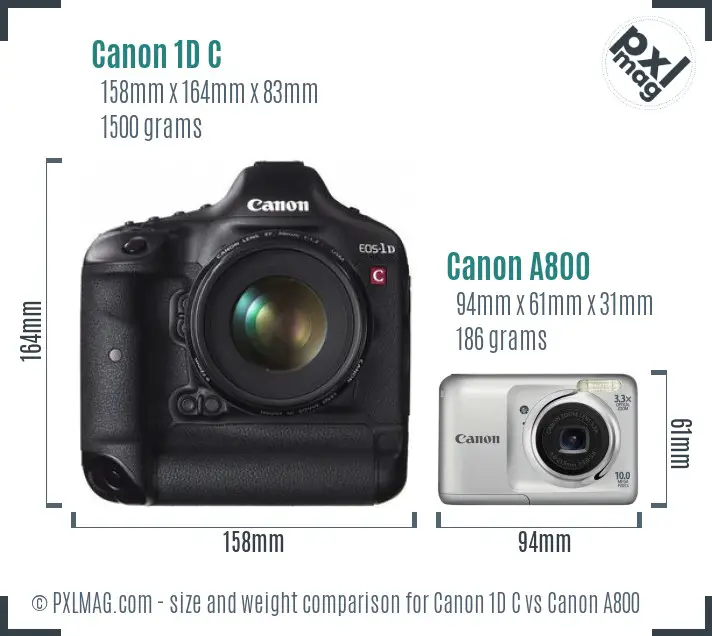 Canon 1D C vs Canon A800 size comparison