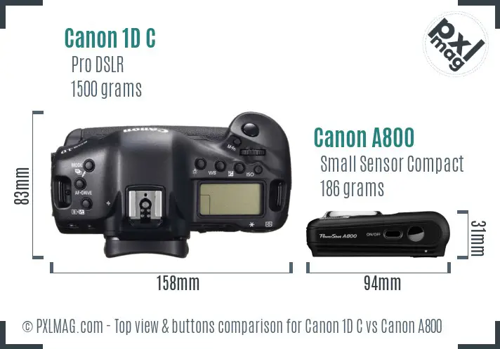 Canon 1D C vs Canon A800 top view buttons comparison